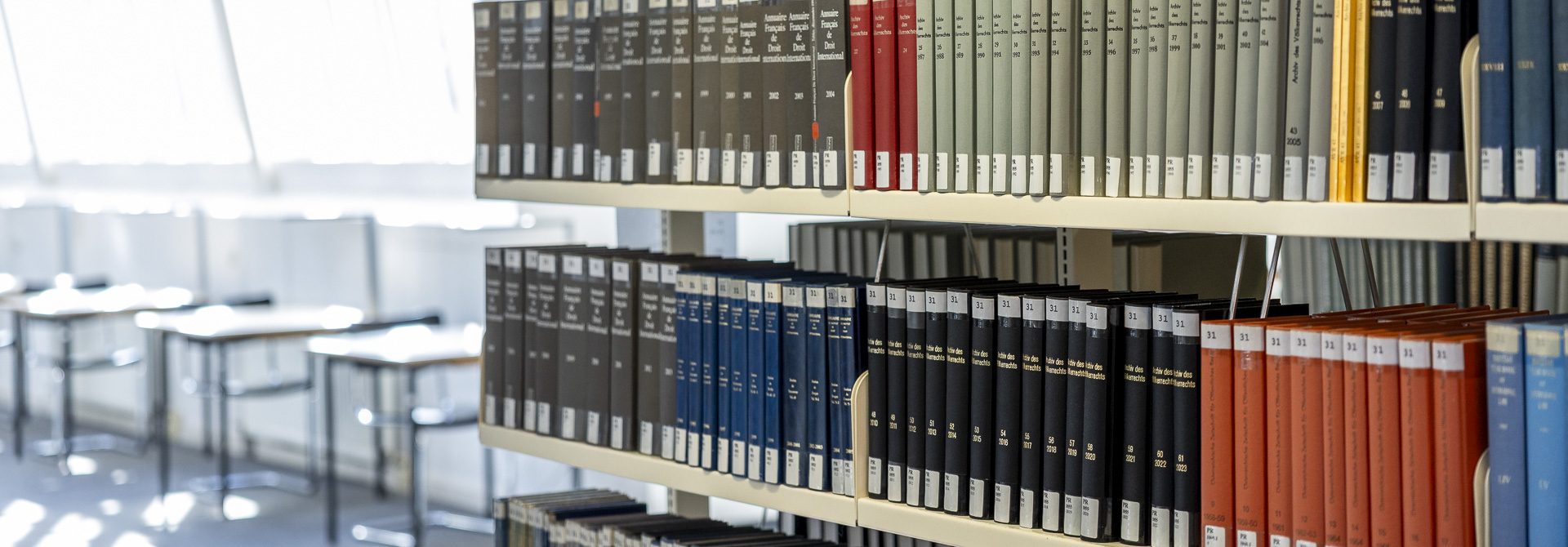 blick-in-die-bibliothek-4376
